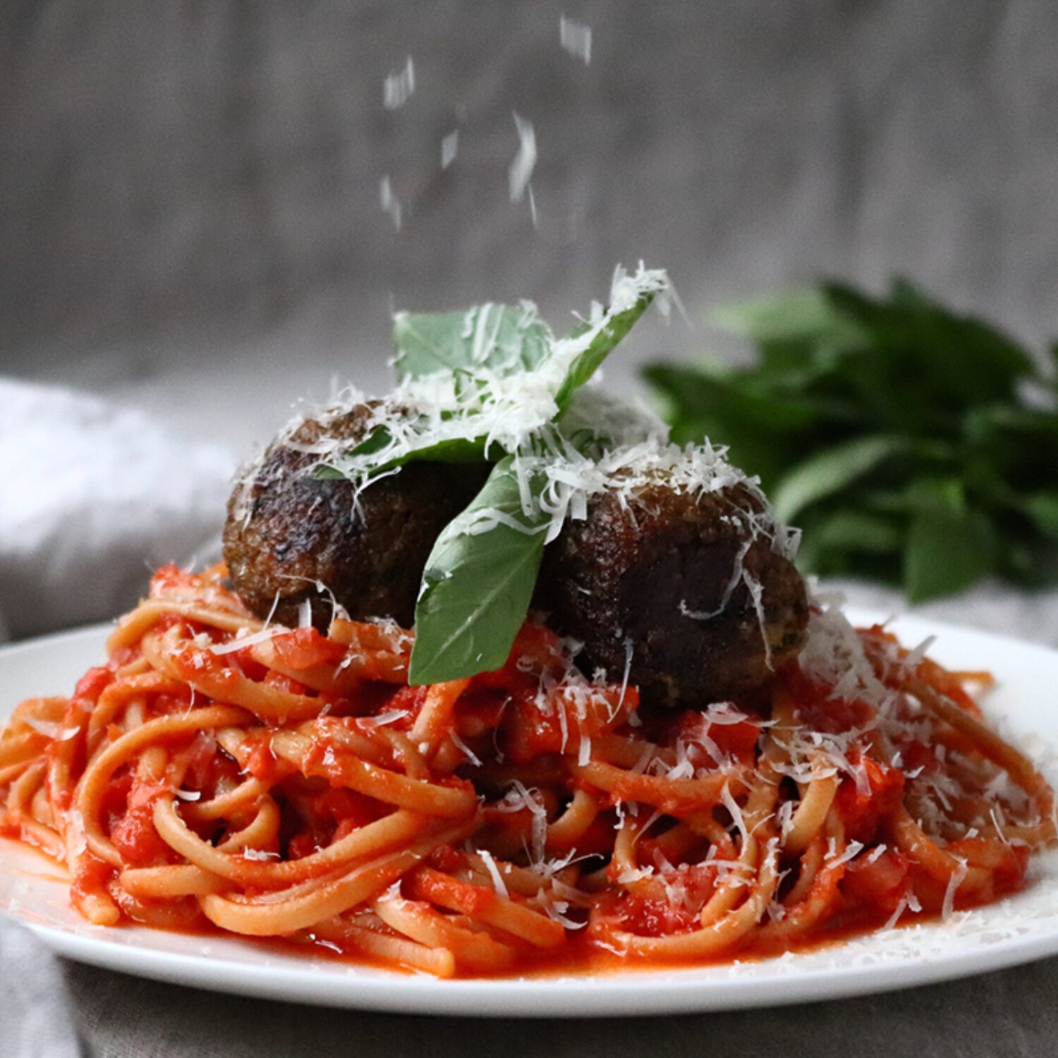 Spaghetti and Meatless Balls