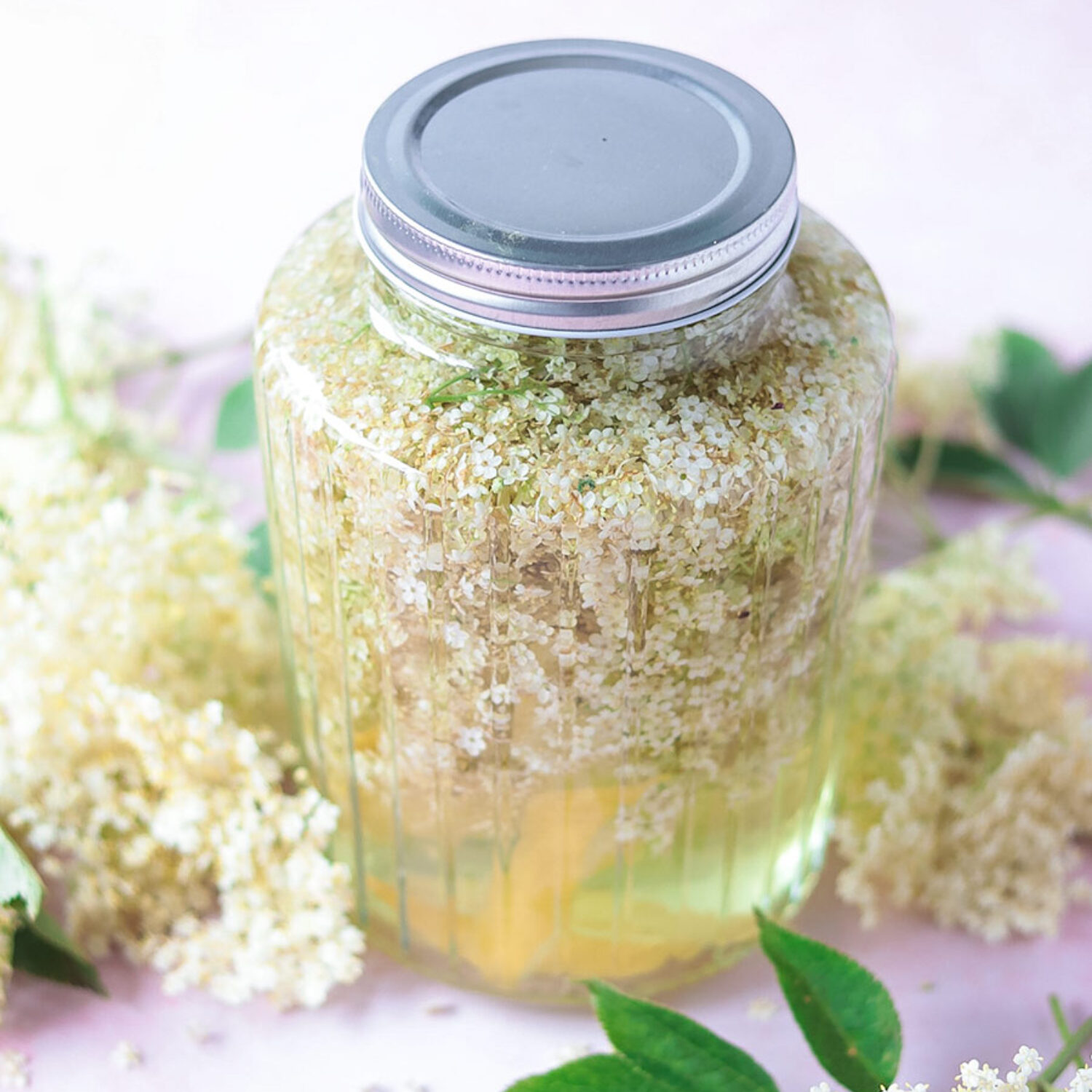 Elderflower Vodka